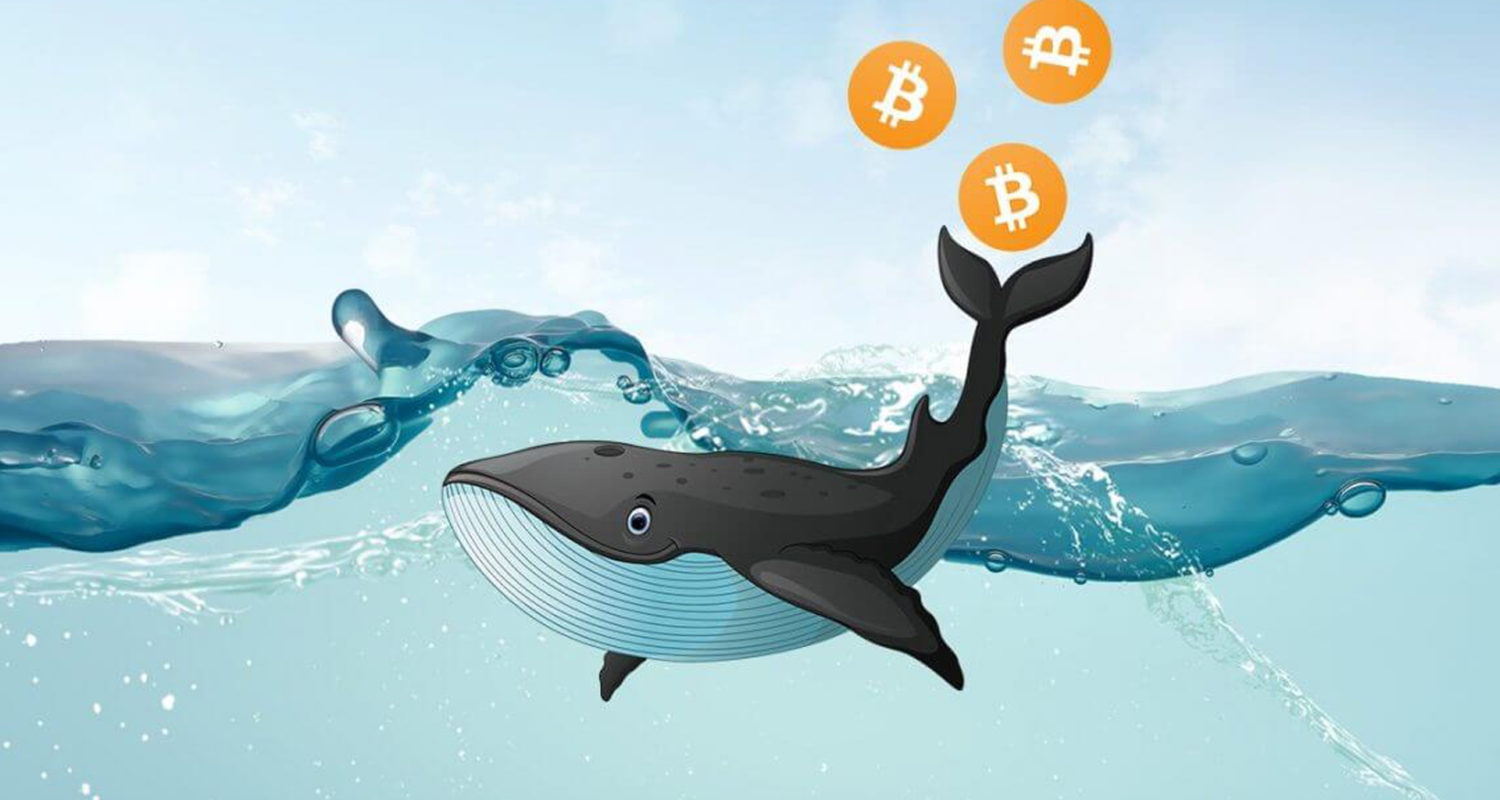 Bitcoin-kit